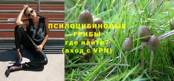 прущая мука Всеволожск
